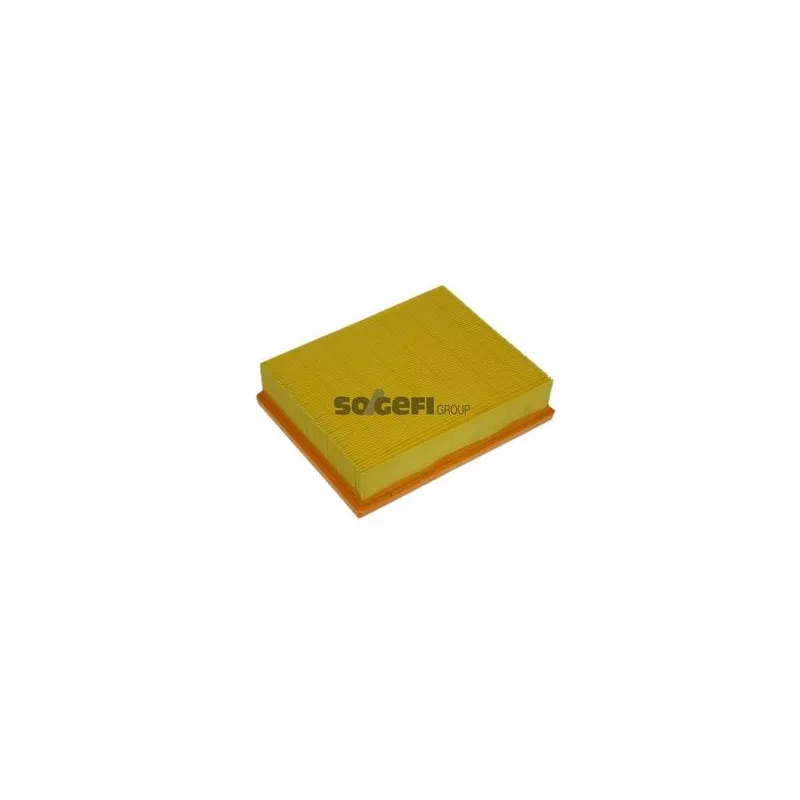 Filtre à air PURFLUX A1213 - Visuel 1