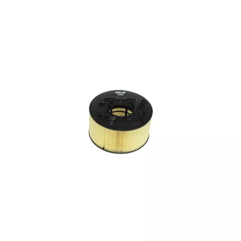 Filtre à air PURFLUX A1219 - Visuel 1