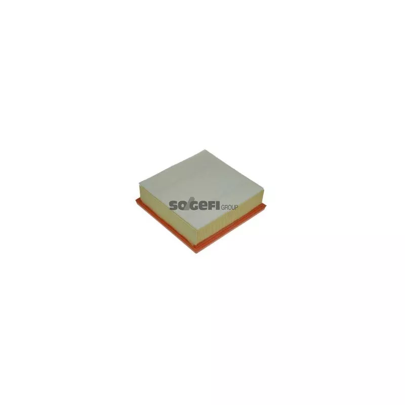 Filtre à air PURFLUX A1223 - Visuel 1