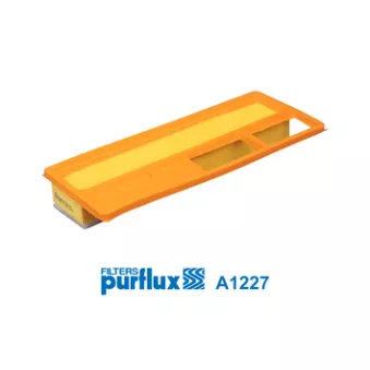 Filtre à air PURFLUX A1227