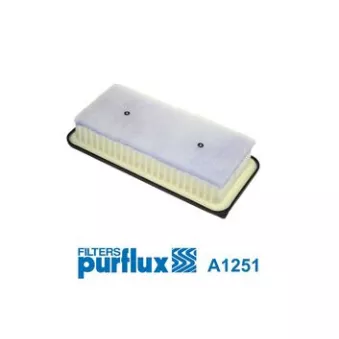 Filtre à air PURFLUX [A1251]