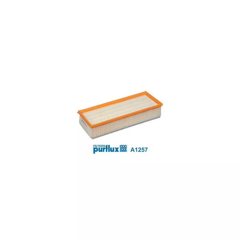 Filtre à air PURFLUX A1257 - Visuel 1