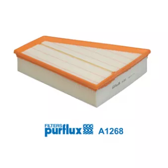 Filtre à air PURFLUX OEM 7G919601AA