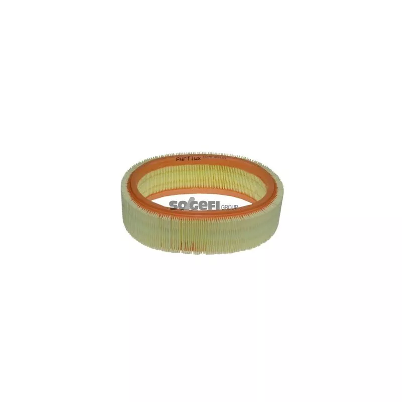 Filtre à air PURFLUX A1278 - Visuel 1