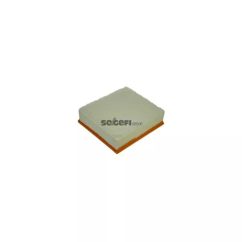 Filtre à air PURFLUX A1287 - Visuel 1