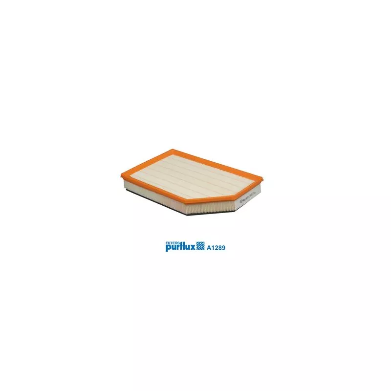 Filtre à air PURFLUX A1289 - Visuel 1