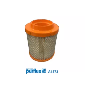 PURFLUX A1373 - Filtre à air