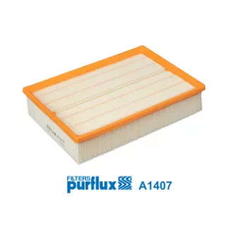 PURFLUX A1407 - Filtre à air