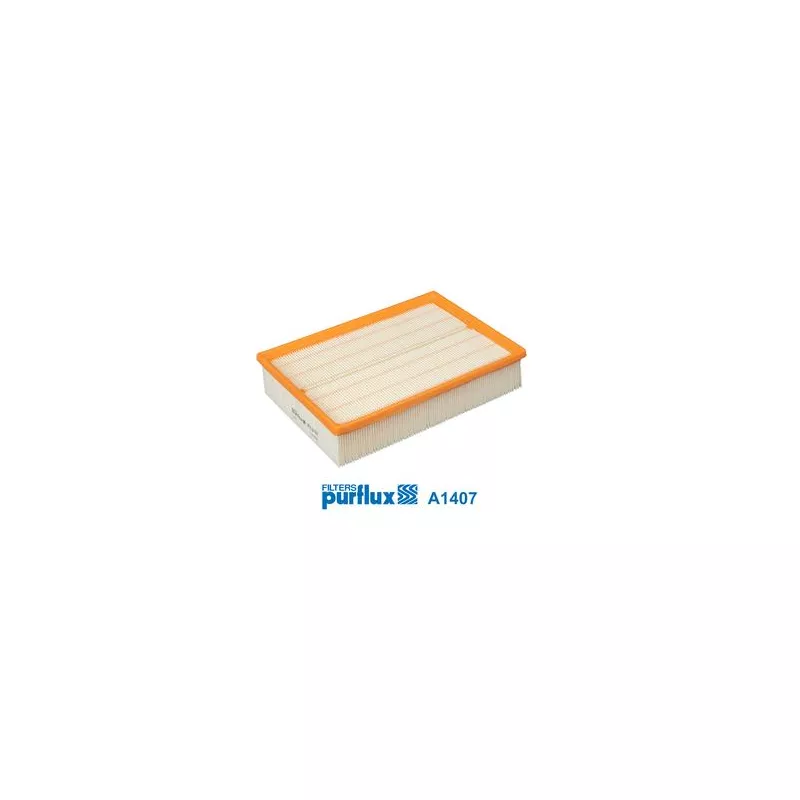 Filtre à air PURFLUX A1407 - Visuel 1