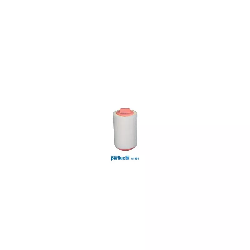 Filtre à air PURFLUX A1494 - Visuel 1