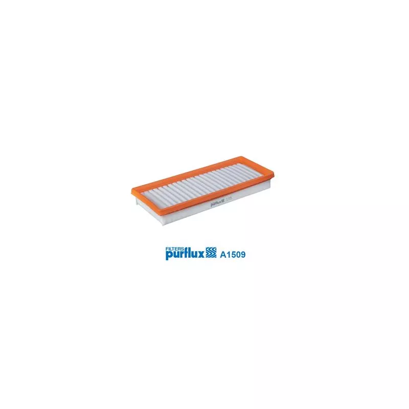 Filtre à air PURFLUX A1509 - Visuel 1