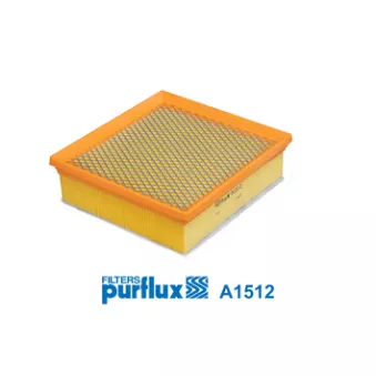 Filtre à air PURFLUX OEM 13356945