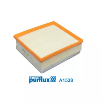 Filtre à air PURFLUX [A1538]