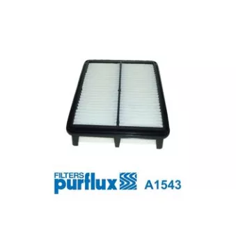 Filtre à air PURFLUX OEM 281132F250