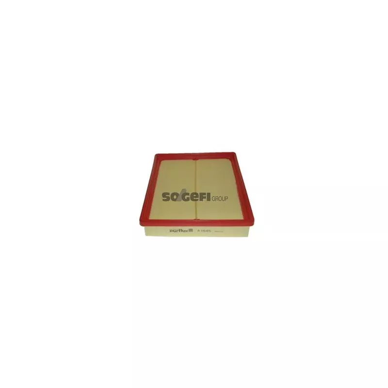 Filtre à air PURFLUX A1545 - Visuel 1