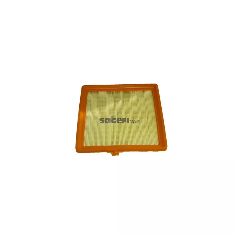 Filtre à air PURFLUX A1617 - Visuel 1