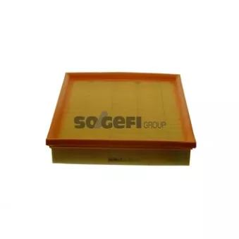 Filtre à air PURFLUX OEM PHE100460