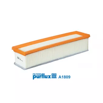 PURFLUX A1809 - Filtre à air
