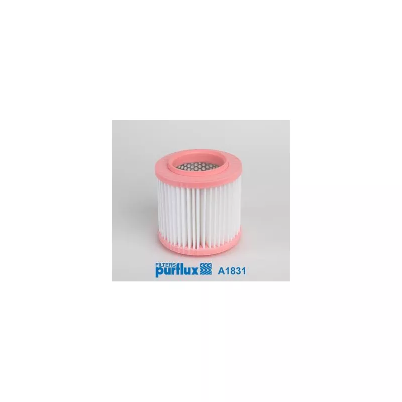 Filtre à air PURFLUX A1831 - Visuel 1