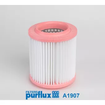 Filtre à air PURFLUX OEM 04E0129620