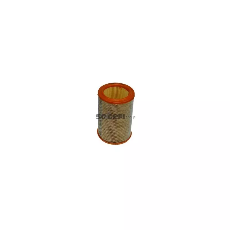 Filtre à air PURFLUX A197 - Visuel 1