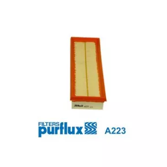 Filtre à air PURFLUX [A223]