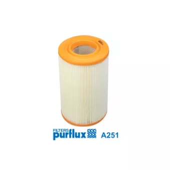 Filtre à air PURFLUX [A251]