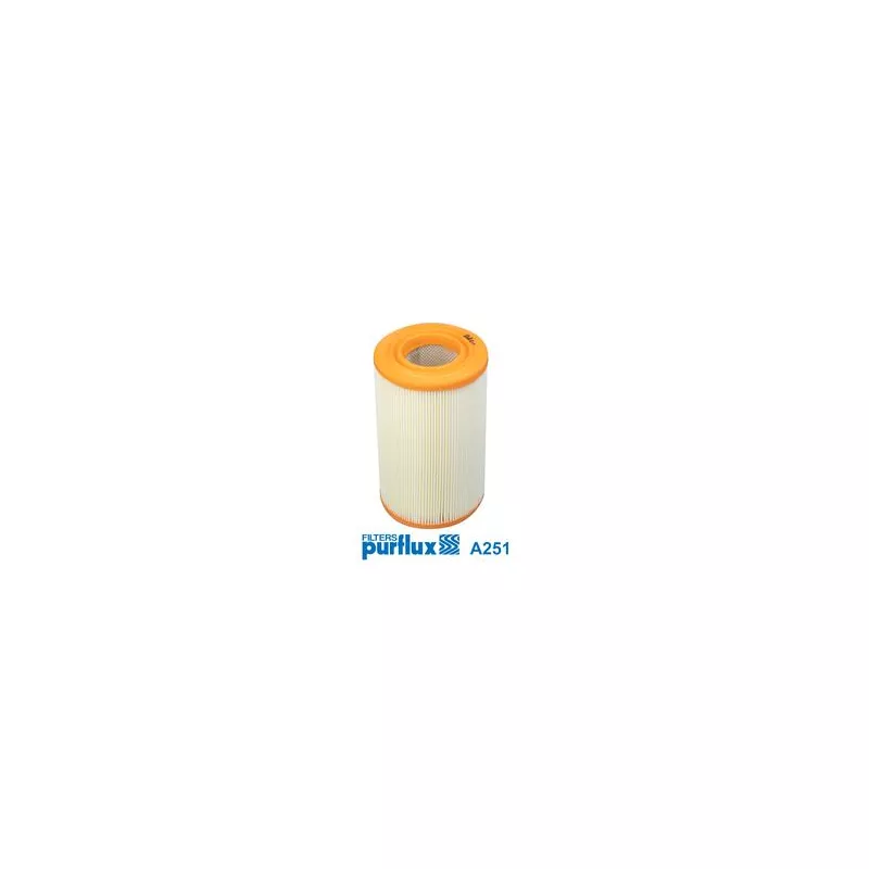 Filtre à air PURFLUX A251 - Visuel 1