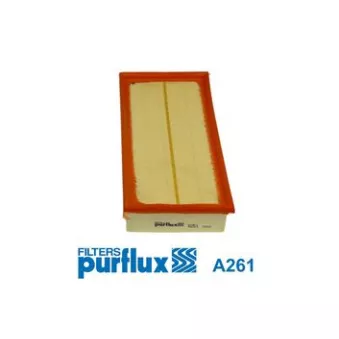 Filtre à air PURFLUX OEM PC2435E