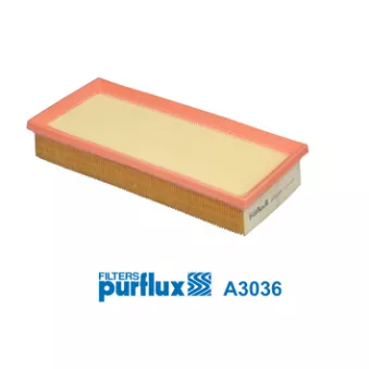 Filtre à air PURFLUX OEM A1770940004