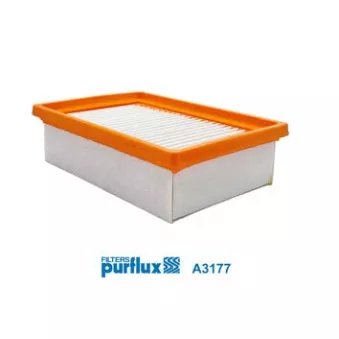 Filtre à air PURFLUX OEM 529852R4