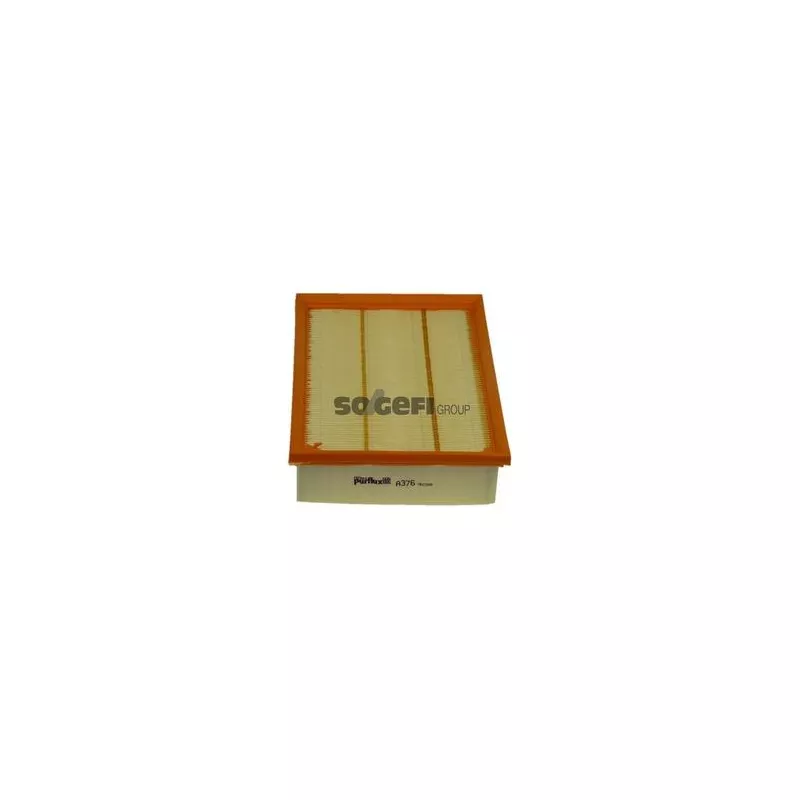 Filtre à air PURFLUX A376 - Visuel 1