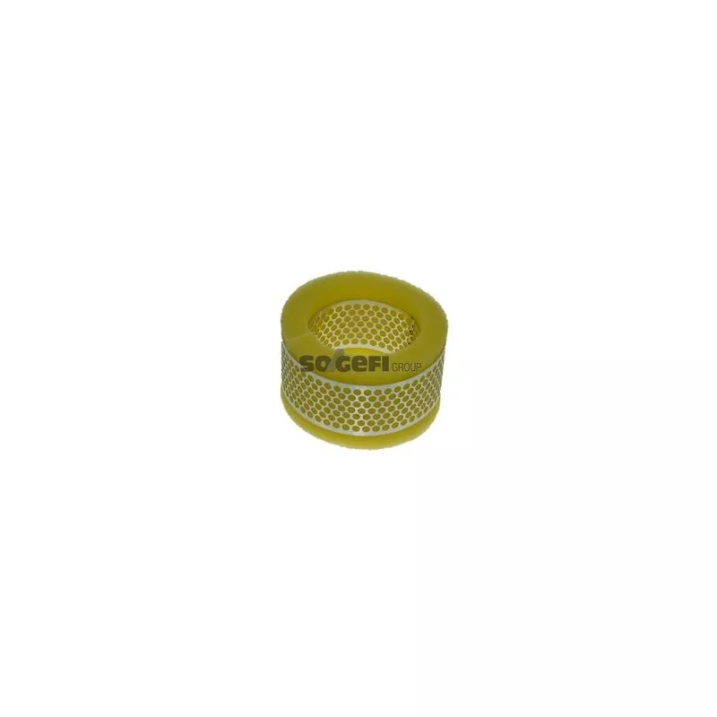 Filtre à air PURFLUX A408 - Visuel 1