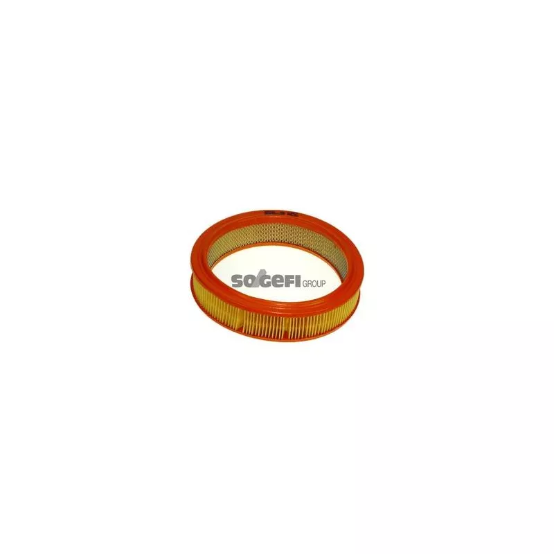 Filtre à air PURFLUX A452 - Visuel 1