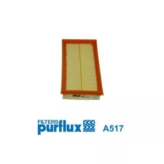 Filtre à air PURFLUX OEM PC360