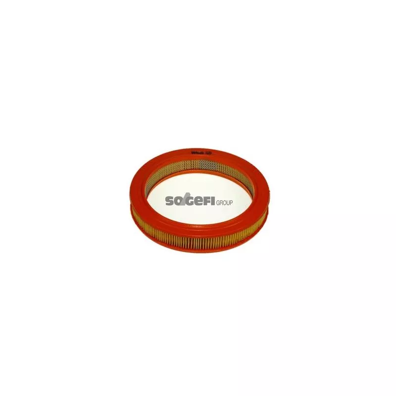 Filtre à air PURFLUX A586 - Visuel 1