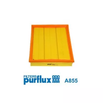 Filtre à air PURFLUX OEM 13363973