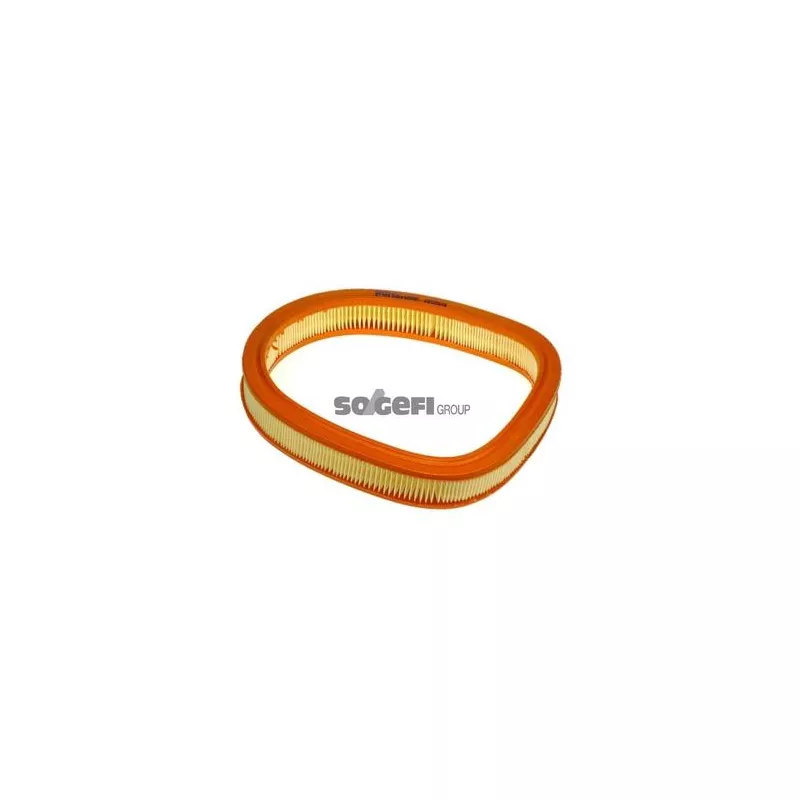 Filtre à air PURFLUX A959 - Visuel 1