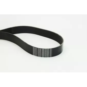 Courroie trapézoïdale à nervures CONTITECH 12PK1900 EXTRA