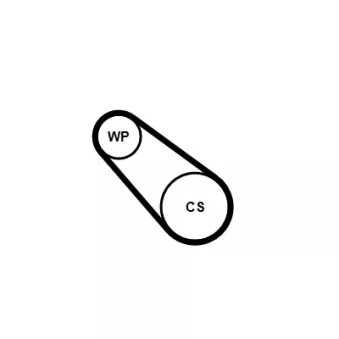Pompe à eau+Jeu de courroie trapézoïdale à nervures CONTITECH 3PK576 ELAST WP1