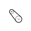 CONTITECH 3PK725 ELAST WP1 - Pompe à eau+Jeu de courroie trapézoïdale à nervures