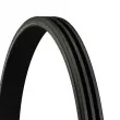 Courroie trapézoïdale à nervures CONTITECH [3PK894 ELAST]