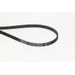 CONTITECH 4PK1119 ELAST - Courroie trapézoïdale à nervures