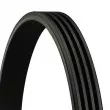 CONTITECH 4PK1380 - Courroie trapézoïdale à nervures