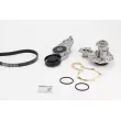 CONTITECH 5PK1300WP1 - Pompe à eau+Jeu de courroie trapézoïdale à nervures