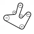 CONTITECH 5PK1515K1 - Jeu de courroies trapézoïdales à nervures