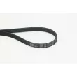 Courroie trapézoïdale à nervures CONTITECH [5PK775 ELAST]
