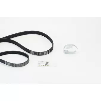 Jeu de courroies trapézoïdales à nervures CONTITECH 6PK1059 ELAST T2