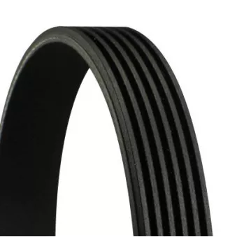 CONTITECH 6PK1080 EXTRA - Courroie trapézoïdale à nervures