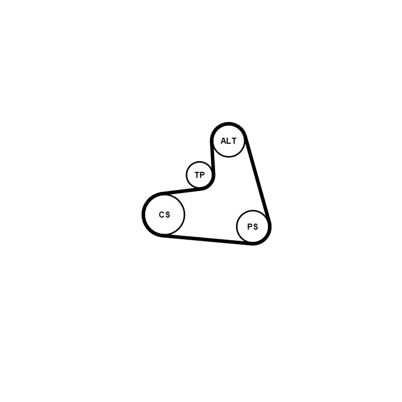 Jeu de courroies trapézoïdales à nervures CONTITECH 6PK1120K1 - Visuel 1